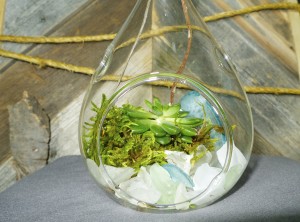 gallery_terrarium_05