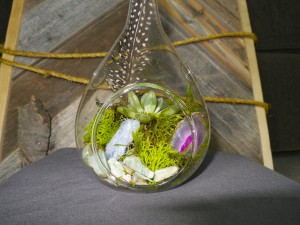 gallery_terrarium_06