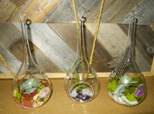 gallery_terrarium_08