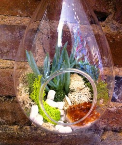 gallery_terrarium_09