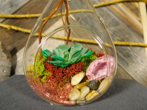 gallery_terrarium_10